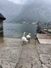 resIMG_20220613_132655_IMG_8823_HEIC.jpg